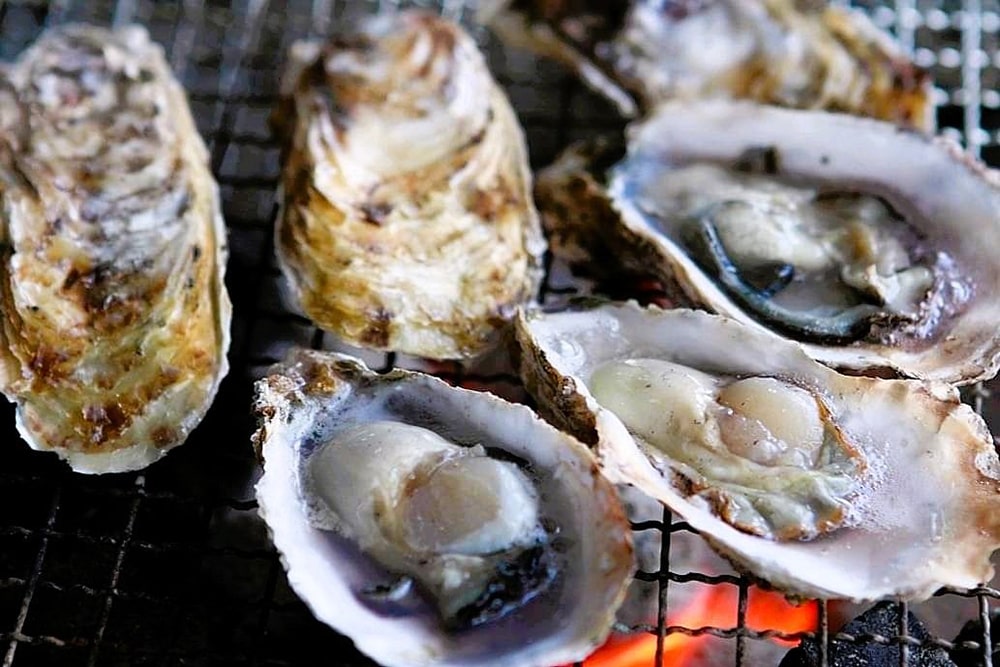 活魚茶屋ざうお糸島本店