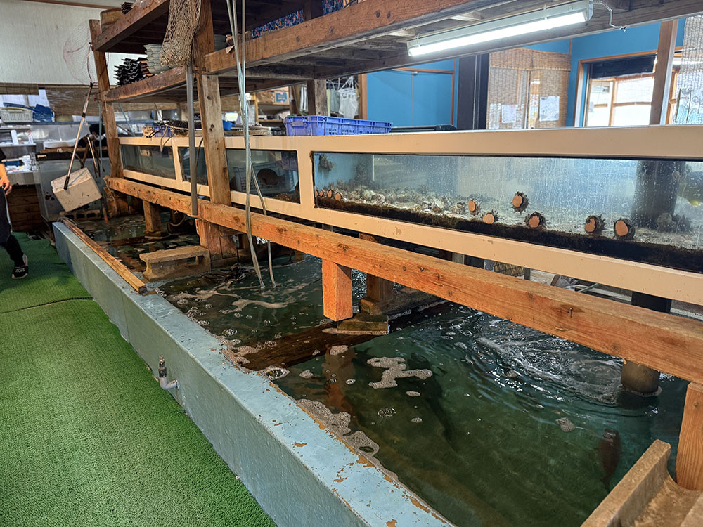 魚庄