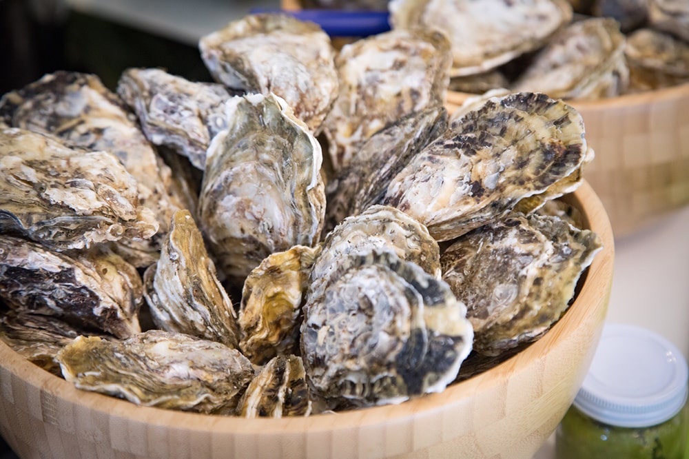 活魚茶屋ざうお糸島本店