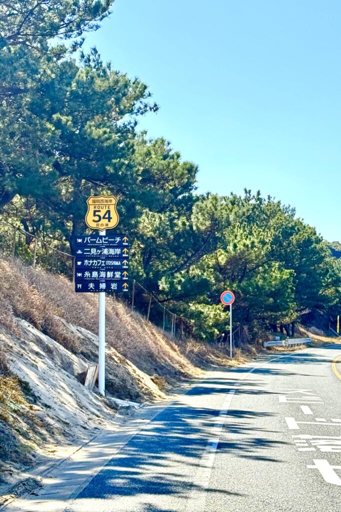 ルート５４看板